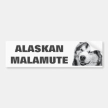 ALASKISCHER MALAMUTE AUTO STICKER