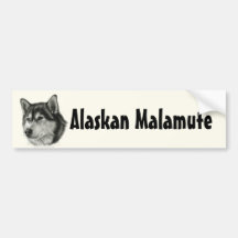 Alaskischer Malamute Autosticker
