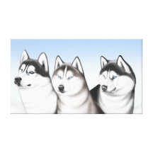 Alaskischer Malamute-Huskies wickelte Leinwand ein Leinwanddrucke