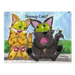Albern und Katzen Tig-Sharedy Postkarte