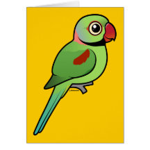 AlexandrineParakeet Karten