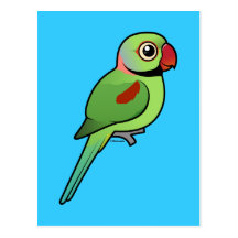AlexandrineParakeet Postkarten