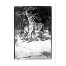 Alice B. Woodward: Cervus sedgwicki Kunstpostkarte