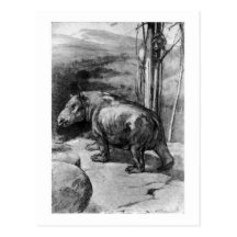 Alice B. Woodward: Coryphodon Kunstpostkarte