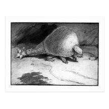 Alice B. Woodward: Daedicurus Kunstpostkarte