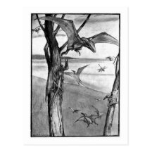 Alice B. Woodward: Fliegen-Eidechsenkunstpostkarte