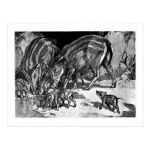 Alice B. Woodward: Hyapotamus Kunst poscard Postkarte