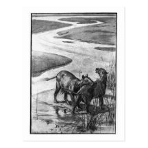 Alice B. Woodward: Hyracotheriumkunstpostkarte