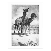 Alice B. Woodward: Macrauchenia Kunstpostkarte
