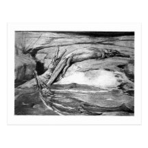 Alice B. Woodward: Metriorhynchus Kunstpostkarte