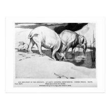 Alice B. Woodward: Moeritherium Kunstpostkarte