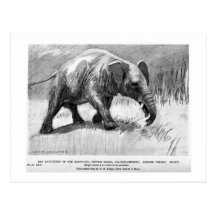 Alice B. Woodward: Palaeomastodon Kunstpostkarte
