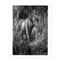 Alice B. Woodward: Palaeomastodon Kunstpostkarte