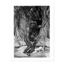 Alice B. Woodward: Pliopithecus Kunstpostkarte