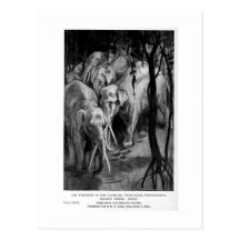 Alice B. Woodward: Tetrabelodon Kunstpostkarte