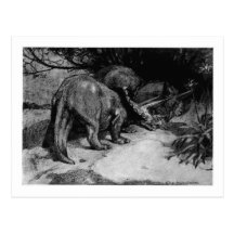 Alice B. Woodward: Triceratopskunstpostkarte