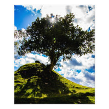 Aller Gewürz-Baum-Druck Foto