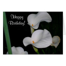 Alles Gute zum Geburtstag! Grußkarte