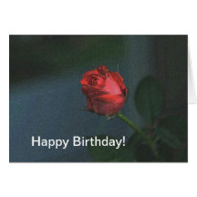 Alles Gute zum Geburtstag Grußkarten