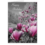 Alles Gute zum Geburtstag Karten