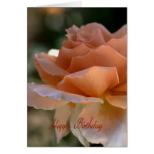 Alles Gute zum Geburtstag - orange Rose Grußkarten