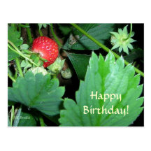 Alles Gute zum Geburtstag Postkarte