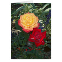 Alles Gute zum Geburtstag ~ Rosen Grußkarte