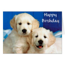Alles- Gute zum Geburtstaggolden retriever-Welpen-