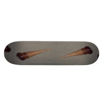 Allgemeine Schrauben-Muschel (Turritella terebra)  Individuelles Deck