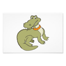 Alligator cartoon photograph