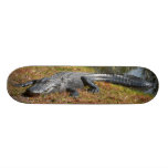 Alligatoreinstieg Skateboarddecks