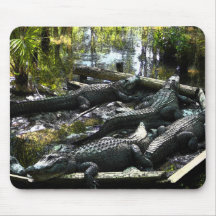 Alligatoren Mousepads