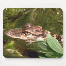 Alligatormausunterlage Mousepads
