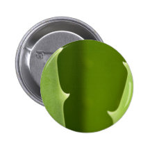Aloe Vera Button