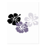 aloha mahalo Grau-Hibiskus Postkarte