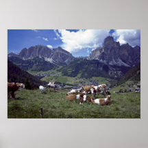 Alpen Posterdruck