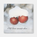 Alte Liebe stirbt nie - Winterapfel-Kühlschrankmag