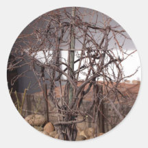 Alte Weinreben Sticker