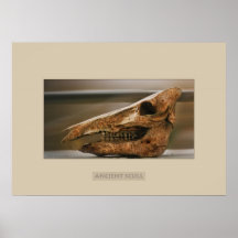 Alter Scull Plakate