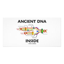 Altes DNA-Innere (DNA-Reproduktions-Spaß) Photokarten