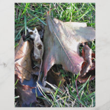 Altes totes Blatt auf Gras Vollfarbige Flyer