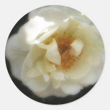 Altmodische weiße Inspiration der Rosen-1 Runde Aufkleber