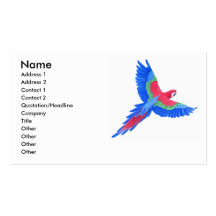 Amazonischer Macaw Visitenkartenvorlage