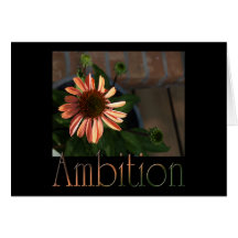 Ambition3 Karten