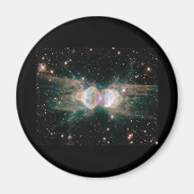 Ameisen-Nebelfleck Magnete