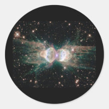 Ameisen-Nebelfleck Runder Sticker