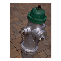 Americana (Hydrant), Florida, USA Postkarten