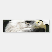 Amerikaner Eagle Autoaufkleber