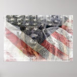 Amerikaner Grizzley Plakat