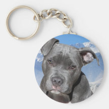 Amerikaner Pitbull Terrier Hündchen Schlüsselbänder